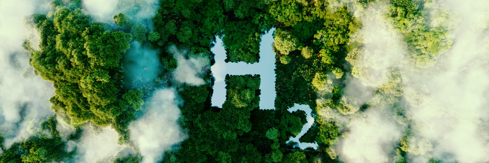 Luftaufnahme eines dichten grünen Waldes, in dem die Form „H₂“ als helle Freifläche sichtbar ist, umgeben von Nebel- oder Wolkenschwaden.