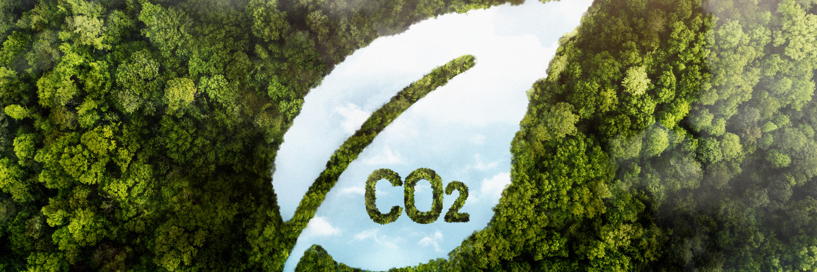 Draufsicht auf einen dichten grünen Wald, in dem die Form eines Blattes ausgespart ist. In der freigelegten Fläche ist Himmel sichtbar, zusammen mit der Aufschrift „CO₂“, was symbolisch auf Klimaschutz und Emissionsreduktion hinweist.