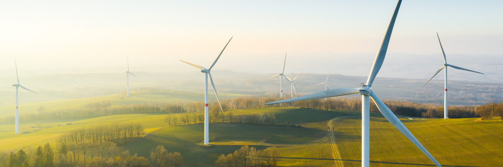Windpark mit mehreren Windkraftanlagen auf sanften Hügeln in einer weitläufigen Landschaft bei goldenem Sonnenlicht.
