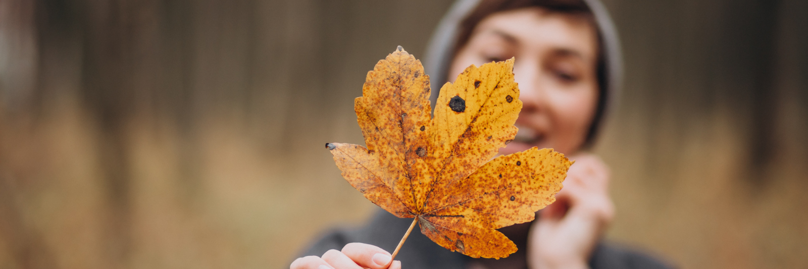 Eine Person hält ein großes, orange-gelbes Herbstblatt in den Vordergrund der Kamera. Der Hintergrund ist unscharf, zeigt aber einen Wald mit herbstlichen Farben. Die Person trägt eine graue Jacke und eine Mütze und lächelt leicht.