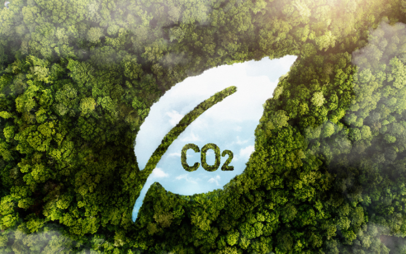 Draufsicht auf einen dichten grünen Wald, in dem die Form eines Blattes ausgespart ist. In der freigelegten Fläche ist Himmel sichtbar, zusammen mit der Aufschrift „CO₂“, was symbolisch auf Klimaschutz und Emissionsreduktion hinweist.