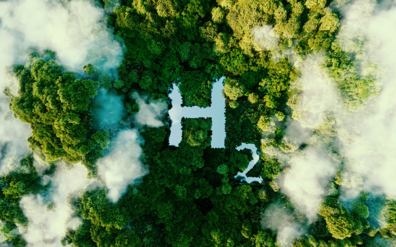 Luftaufnahme eines dichten grünen Waldes, in dem die Form „H₂“ als helle Freifläche sichtbar ist, umgeben von Nebel- oder Wolkenschwaden.