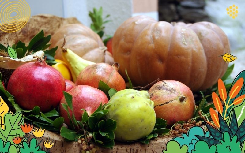 Ernährung im Herbst