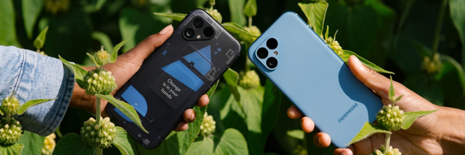 Zwei Smartphones weden nebeneinander gehalten, dahinter eine Wiese