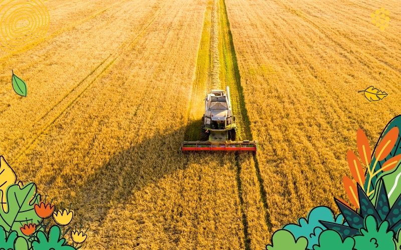 Lebensmittelindustrie Nachhaltigkeit