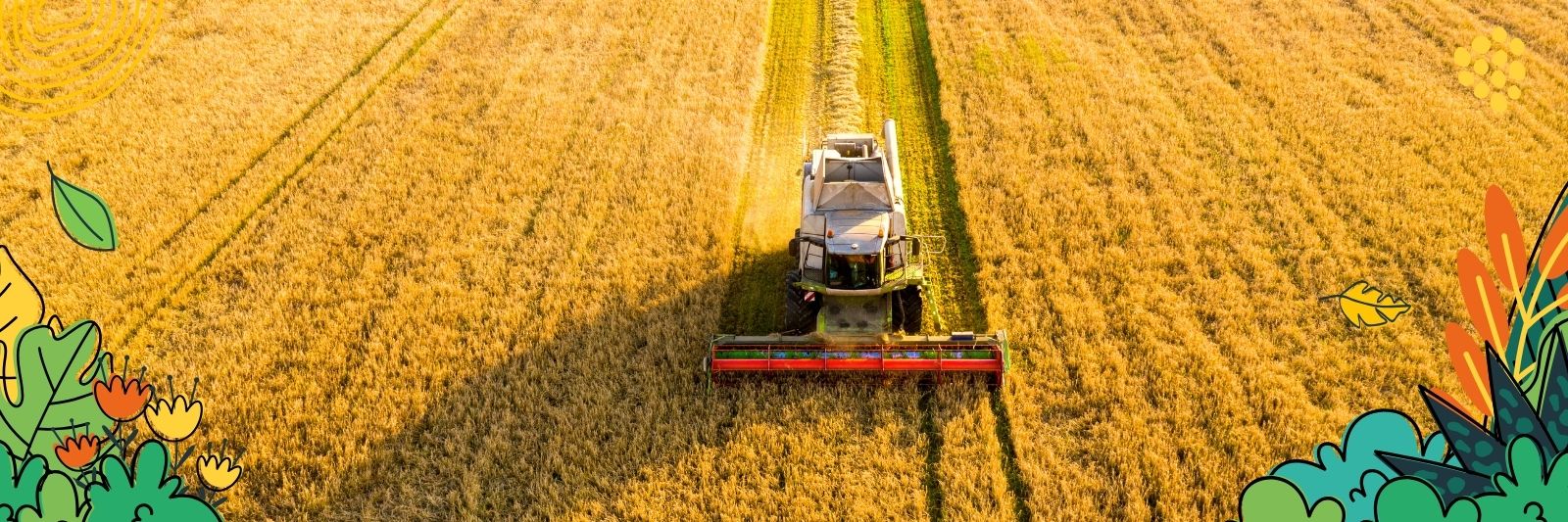 Lebensmittelindustrie Nachhaltigkeit