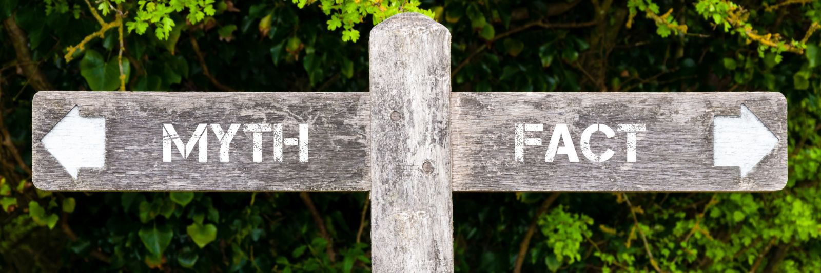Holzschild als Wegweiser, dahinter grüne Büsche