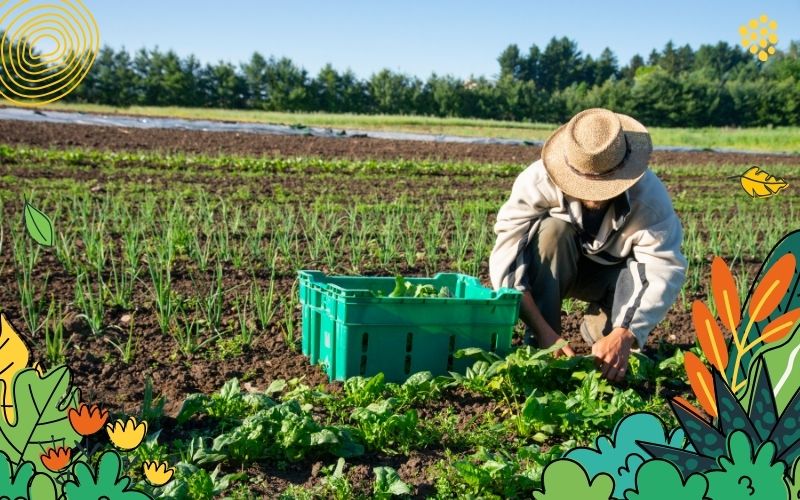 Regenerative Landwirtschaft