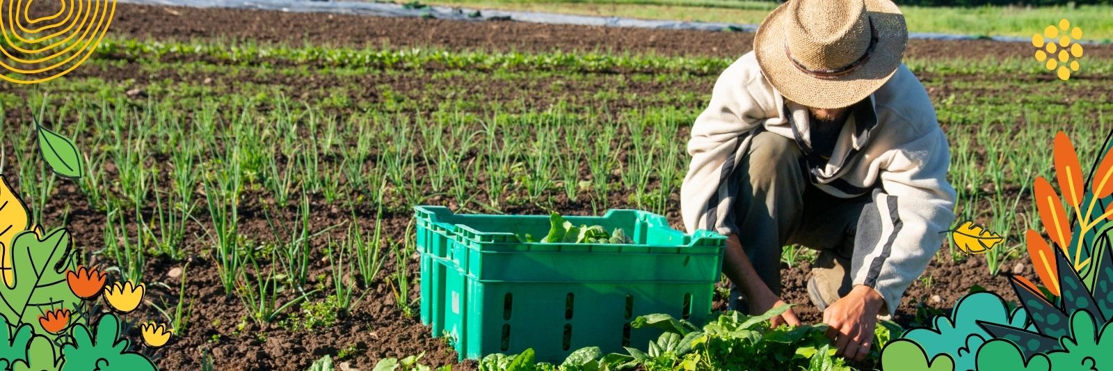 Regenerative Landwirtschaft